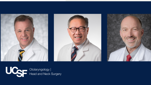 Johnson Cheung Houde